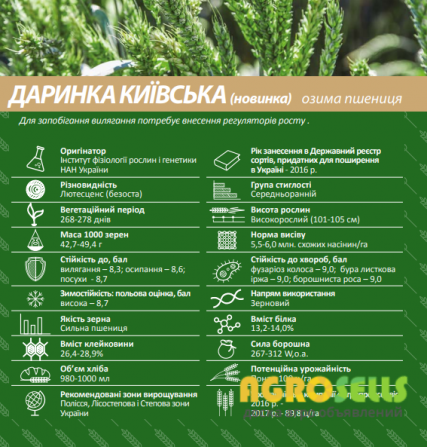 Семена озимой пшеницы под КОМПЕНСАЦИЮ