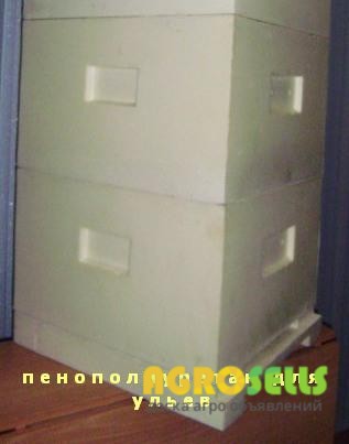 Пенополиуретан для изготовления ульев