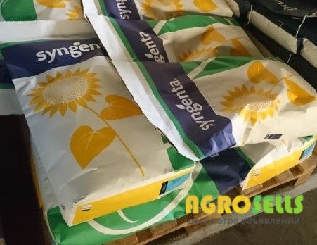 Соняшник Опера ПР (Syngenta)