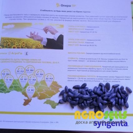 Соняшник Опера ПР (Syngenta)