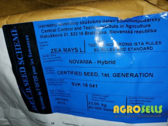 Кукурудза RWA Нованія