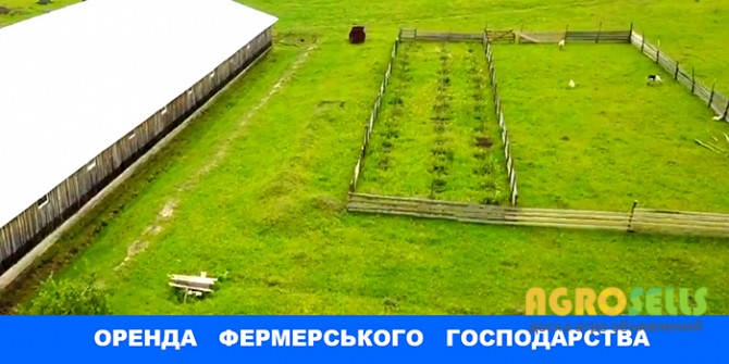 Оренда фермерського господарства
