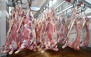 Оптовая продажа мяса по Киеву и Киевской области
