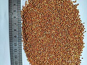 Продам чумизу,40т.