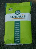 Продам Насіння соняшнику Euralis BELLA
