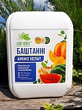 БАШТАННІ, 10 л, Комплексне мікродобриво з амінокислотами.