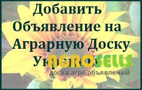 Размещение объявлений на АГРО досках НЕДОРОГО.