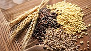 Насіння зернових, олійних, бобових культур