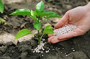 Минеральные удобрения. Азотно-фосфорные удобрения.