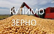 Підприємство на постійній основі закупає сою, та інші зернові ДОРОГО