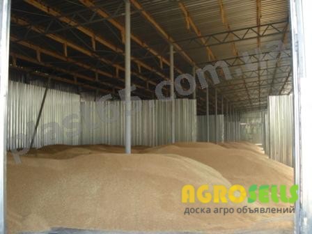 Зернохранилище построить в Украине, Киев