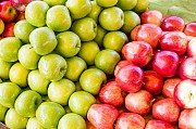 Продам свежие яблоки оптом