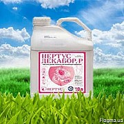 Бор , ДекаБор (Нертус)