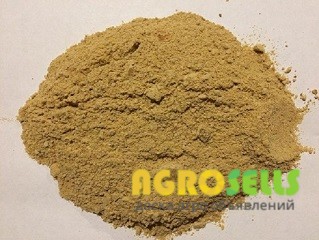 Продаю соевый шрот оптом