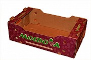 Картонный лоток под яблоко