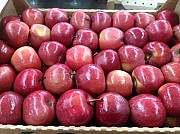 Куплю яблоки оптом