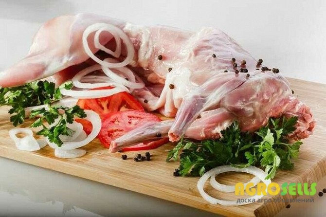 Мясо кролика