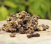Куплю прополіс по хорошій ціні