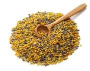 Куплю бджолиний пилок та інші продукти бджолярства