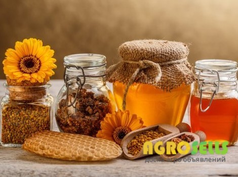 Куплю сортовой мед оптом