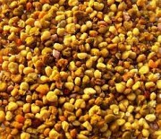 Куплю пилок