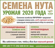 Насіння нуту закордонної та української селекціі