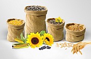 Куплю кукурудза, соя, пшениця, соняшник