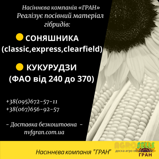 Посівний матеріал соняшника та кукурудзи