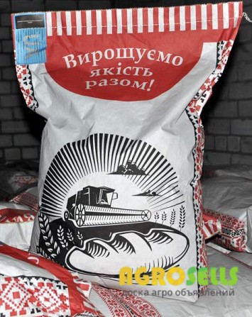 Семена подсолнечника Ново алье под евро-лайтинг от производителя
