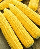 Фірма закуповуе кукурузу .Великим оптом. Повсей Украине