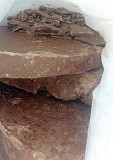 Молочный шоколад с ореховым пралине