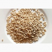Крупа перловая продам
