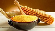 Агрофирма закупает Кукурузу дорого. По всему региону Украины.