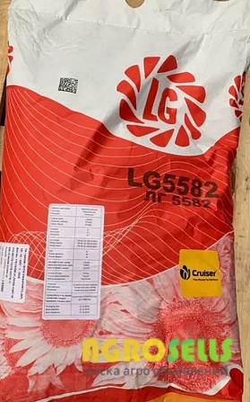 Посевной материал подсолнечника Limagrain