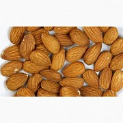 Продам Миндаль опт от 25 кг