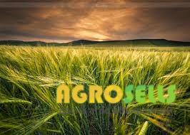 Агрофірма закуповує Ячмінь дорого. По всьому регіону України.