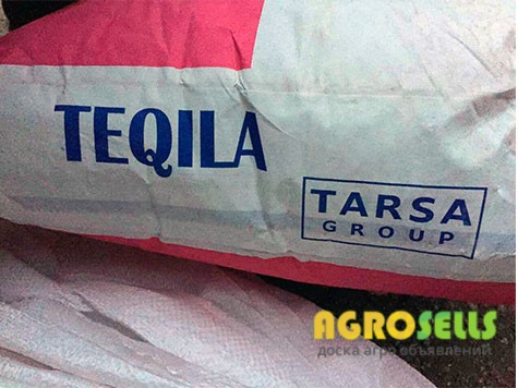 Сорго посевное, яровое TEQUILA