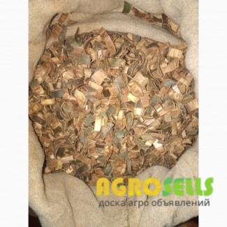 Кора осины