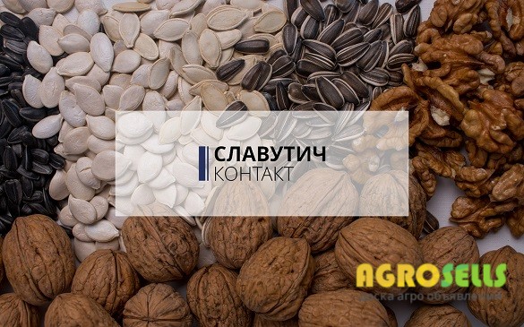 Закуповуємо горіх, соняшникове та гарбузове насіння