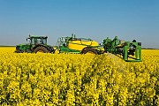Зерновідходи ріпаку та зерновідходи соняшника куплю