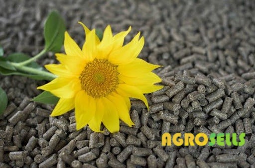 Продам пелет і брикет із чистого лушпиння соняшника