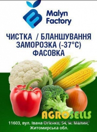 Шоковая заморозка ягод, овощей и фруктов. Услуга. (-37 )