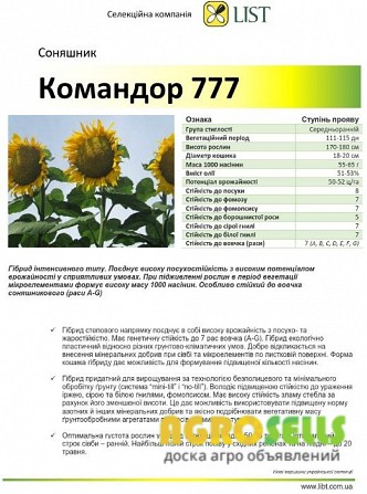 Продам посівний матеріал соняшнику, гібрид Командор 777 (Україна)