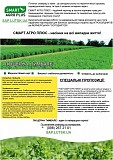 Продаємо люцерну сорт "Євгенія" (Італія)