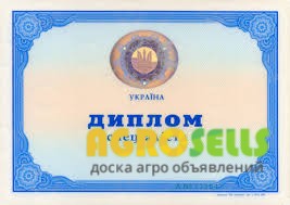 Водительские права, паспорт Украины, ВНЖ, диплом, автодокументы