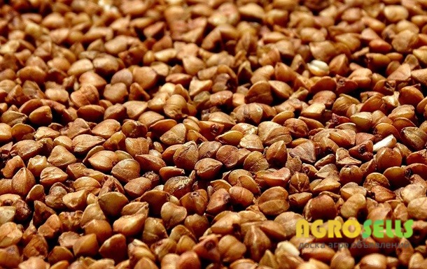 Продам гречку (зерно)