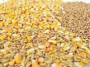 Купуємо некондиційну кукурудзу, половинки сої