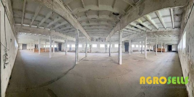 Зерносховище в оренду або продаж (м.Скалат)