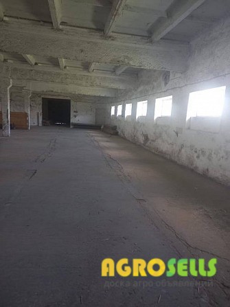 Зерносховище в оренду або продаж (м.Скалат)