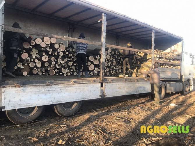 Продамо дрова паливні твердих порід деревини